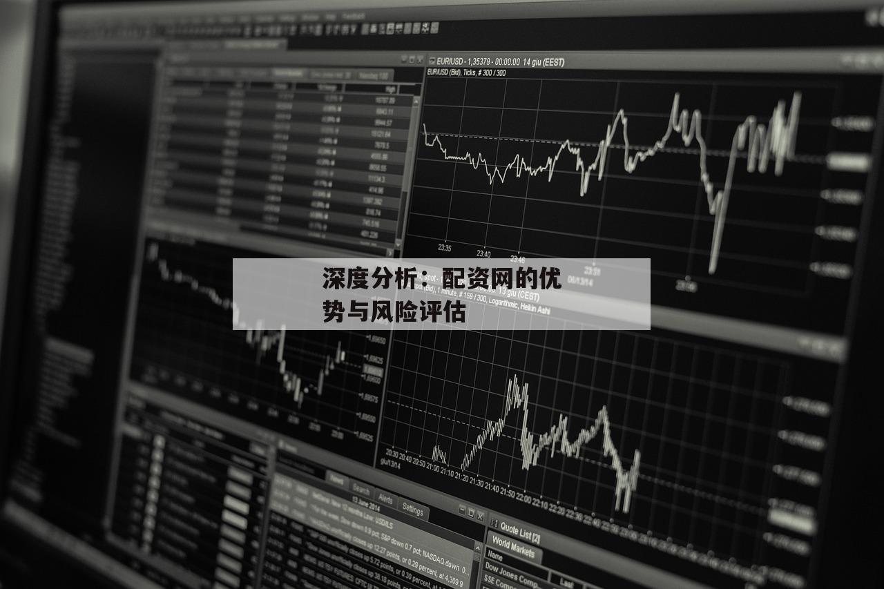 深度分析：配资网的优势与风险评估